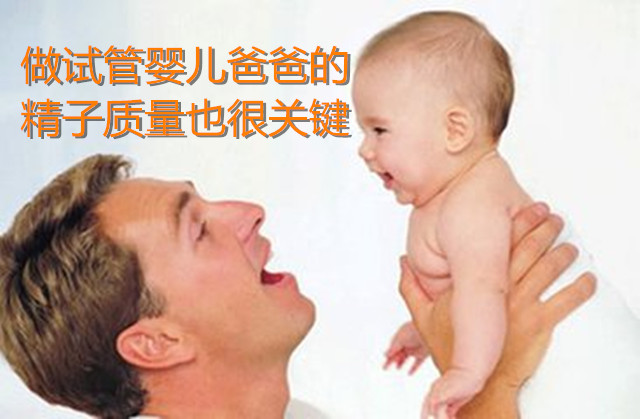 做试管婴儿爸爸的精子质量也很关键