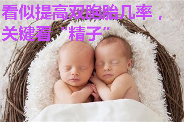 看似提高双胞胎几率,关键看“精子”