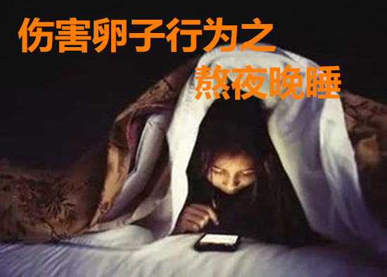 伤害卵子行为之熬夜晚睡