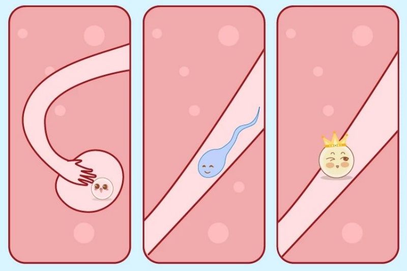 �����Ϻ��ӣ��⼸���������������ѹܣ�